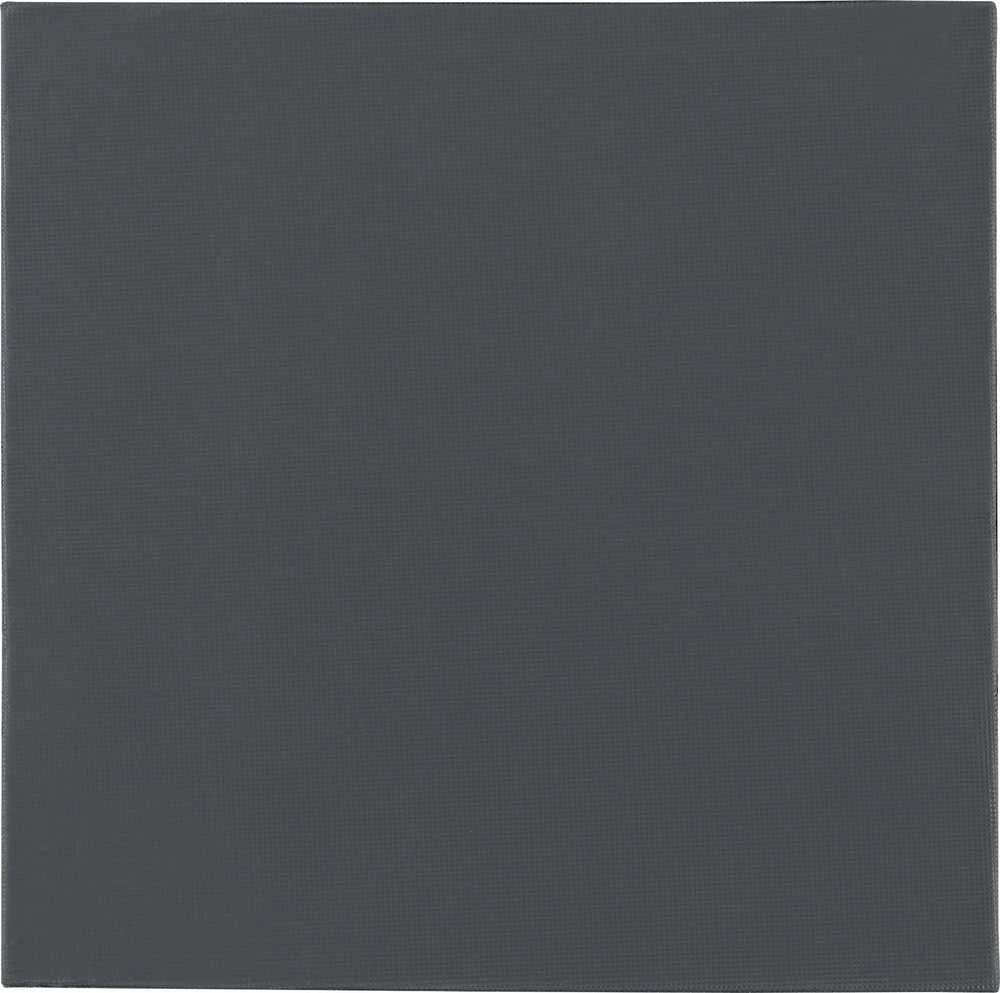 Thermal Grizzly Terminis Grizzly antgalis „Grizzly Minus Pad Pro“ – 100 x 100 x 0,5 mm