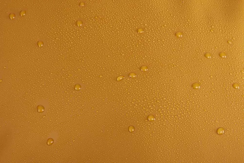 Kelioninis Thule | Chasm | 40L Bag | Duffel | Golden Brown | Atsparus vandeniui