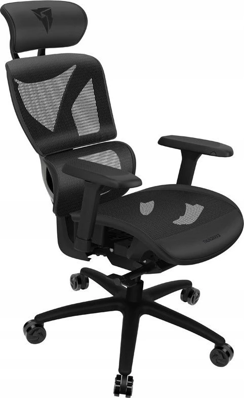 ThunderX3 XTC ergonominė ofiso kėdė, Mesh – juodos spalvos