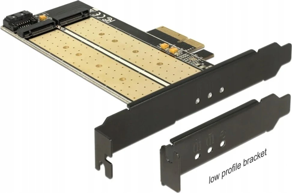 Delock PCIe x4 > 1 x M.2 Key B 1 x M.2 Key M žemo profilio formos faktorius