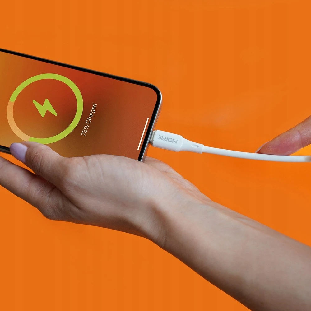 Tiross MORRE USB-C įkrovimo laidas 60W 1,2m