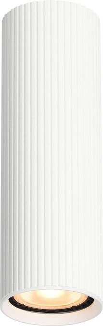 Lubinis šviestuvas Tk_Lighting Šviestuvas lubų TK Lighting Tune 10025, GU10, baltas
