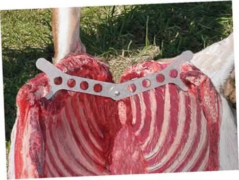 Outdoor Edge Jaeger Pak – medžioklės rinkinys