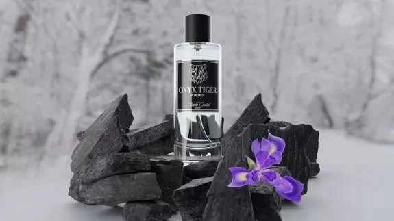 Diane Castel Onyx Tiger EDP parfumuotas vanduo vyrams, 100 ml