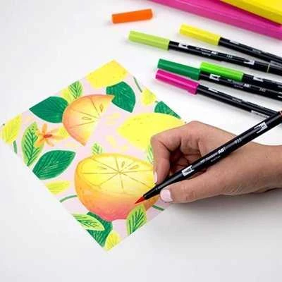 Tombow Organizer rinkinys su 108 ABT Dual rašikliais