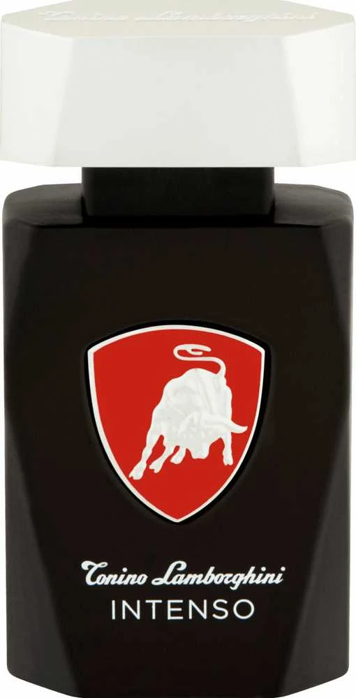 Tonino Lamborghini Lamborghini Intenso EDT tualetinis vanduo vyrams, 75 ml
