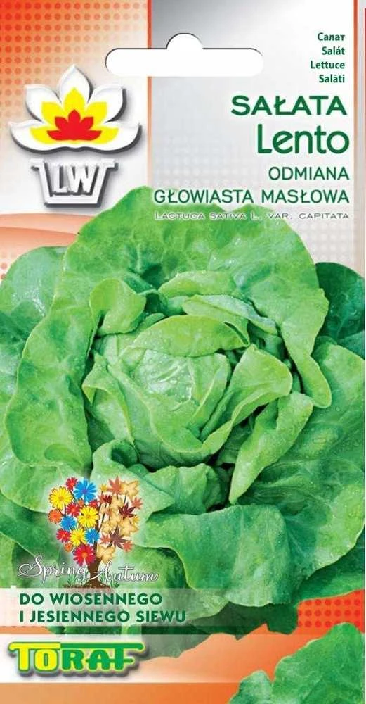 Toraf sviestinės salotos Lento 1g