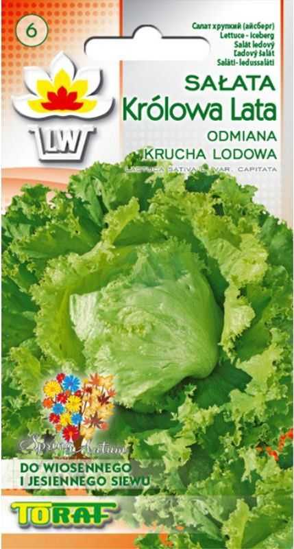 Crisp Ice Lettuce Summer Toraf Vegetable Seeds, 1g Package