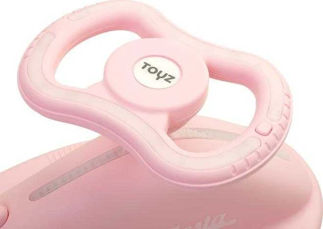 Toyz Fiesta - gravitacinis pasivažinėjimas su melodijomis ir šviesomis | Rožinė