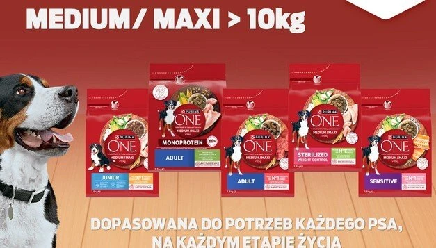 Purina Nestle ONE Medium/Maxi Adult jautiena & ryžiai 12kg