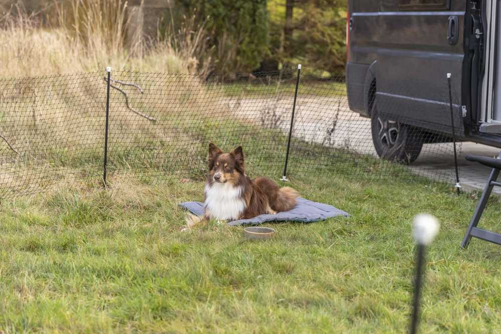 Trixie 39539, Safety net, Dog, Outdoor, Juodas, Iron, Plastic, Metal, Nylon, Powder coating