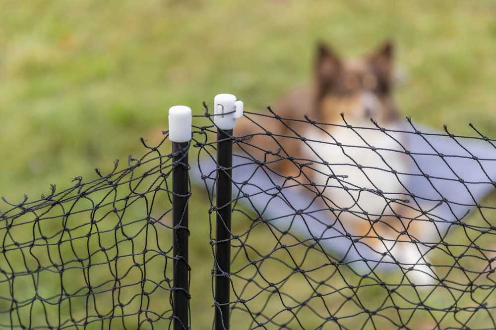 Trixie 39539, Safety net, Dog, Outdoor, Juodas, Iron, Plastic, Metal, Nylon, Powder coating