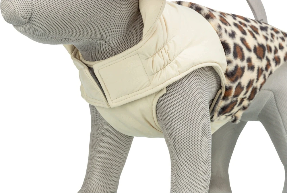 Trixie Ajou, płaszcz, šuniui, kreminė/leopard, XS, 24 cm (TX-680292)