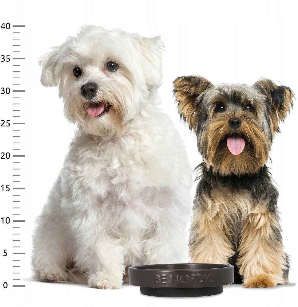 Trixie BE NORDIC, dubenėlis, dla kota, juoda, ceramika/guma, 0,3 l/o 16 cm