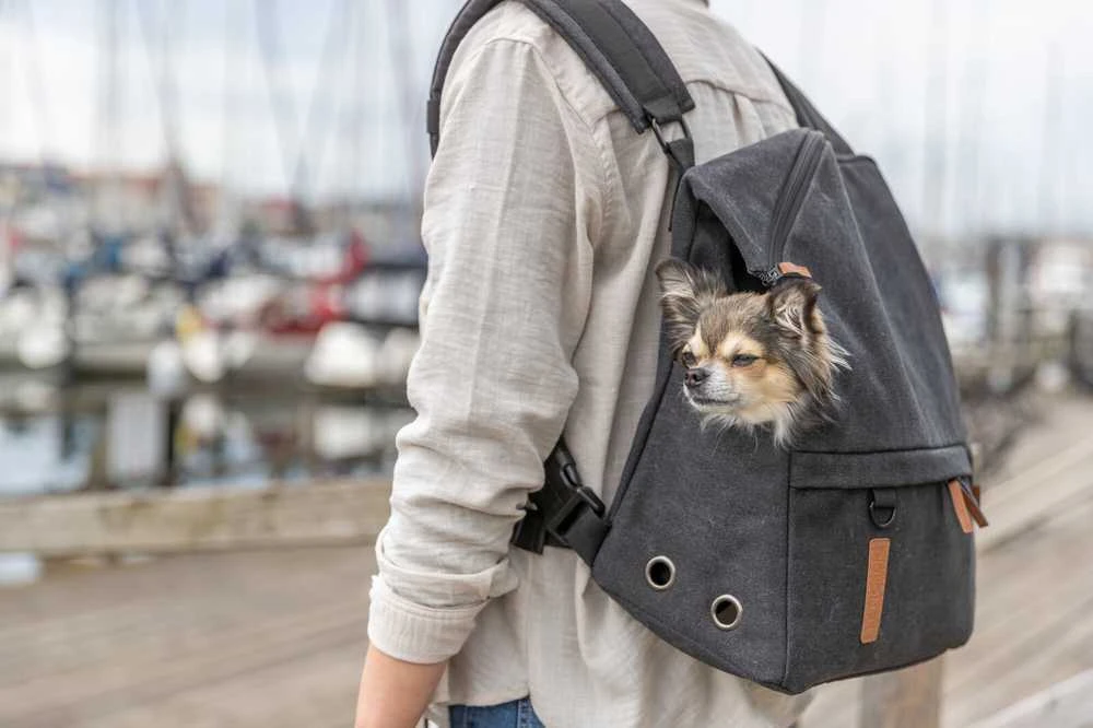 Trixie BE NORDIC�Kuprinė�Bjorn, juoda, 35 � 40 � 20 cm