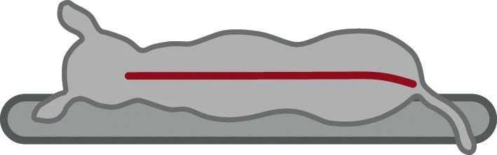Trixie Bendson, skirtas vidui, šunims, pilka, stačiakampis, vienspalvis, poliesteris