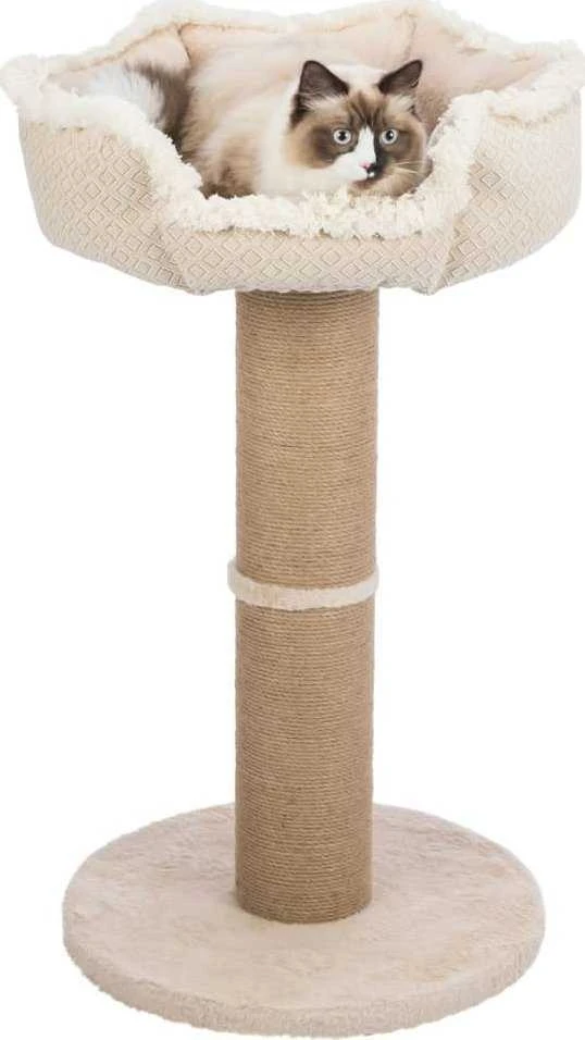 Trixie draskyklė katei Boho 83 cm, smėlio spalva