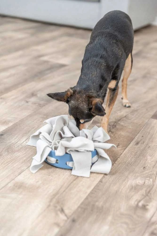 Trixie šunų aktyvumo dubenėlis „Hide'n'Sniff“, lavinamasis žaislas šunims, plastikinis, 18 cm
