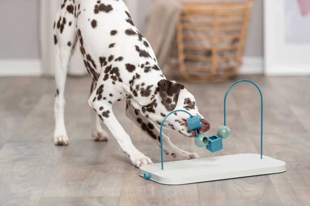Trixie Dog Activity Skills Loop, žaislas edukacyjna, šuniui, plasik/metal, 43 cm