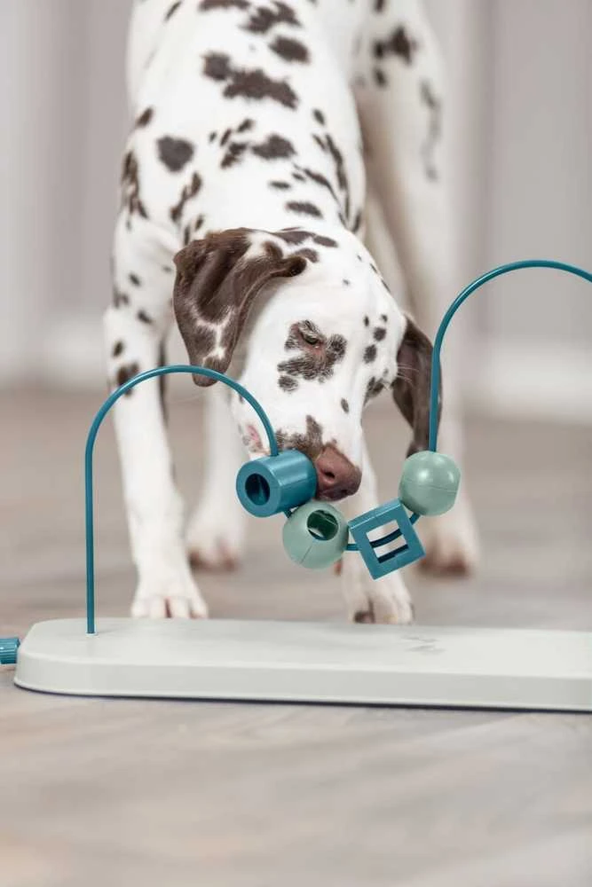 Trixie Dog Activity Skills Loop, žaislas edukacyjna, šuniui, plasik/metal, 43 cm