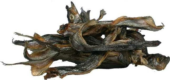 TRIXIE Džiovinta žuvis, 200 gr (pak.6)