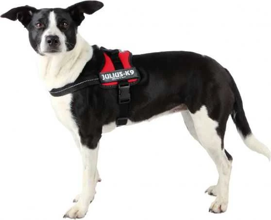 Trixie Julius- K9 sudpenders, mini / S: 40-53 cm, raudona