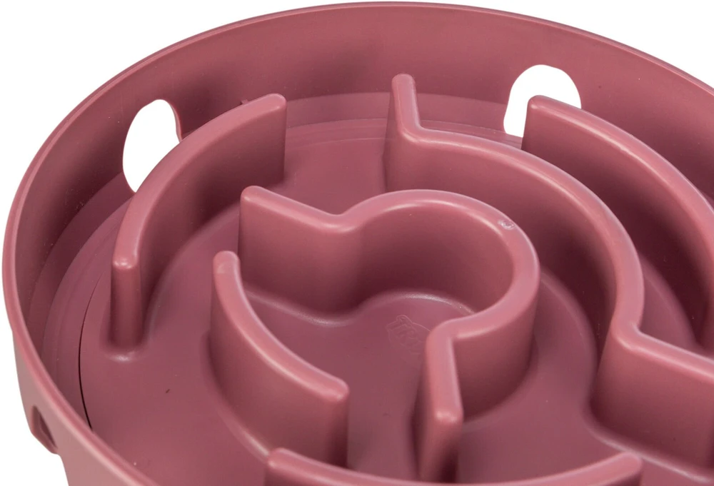 Trixie Katės veiklos supamasis labirintas, edukacinis žaislas katėms, plastikinis, 18 cm