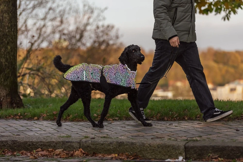 Trixie Limoux šuns paltas su atspindinčiu raštu