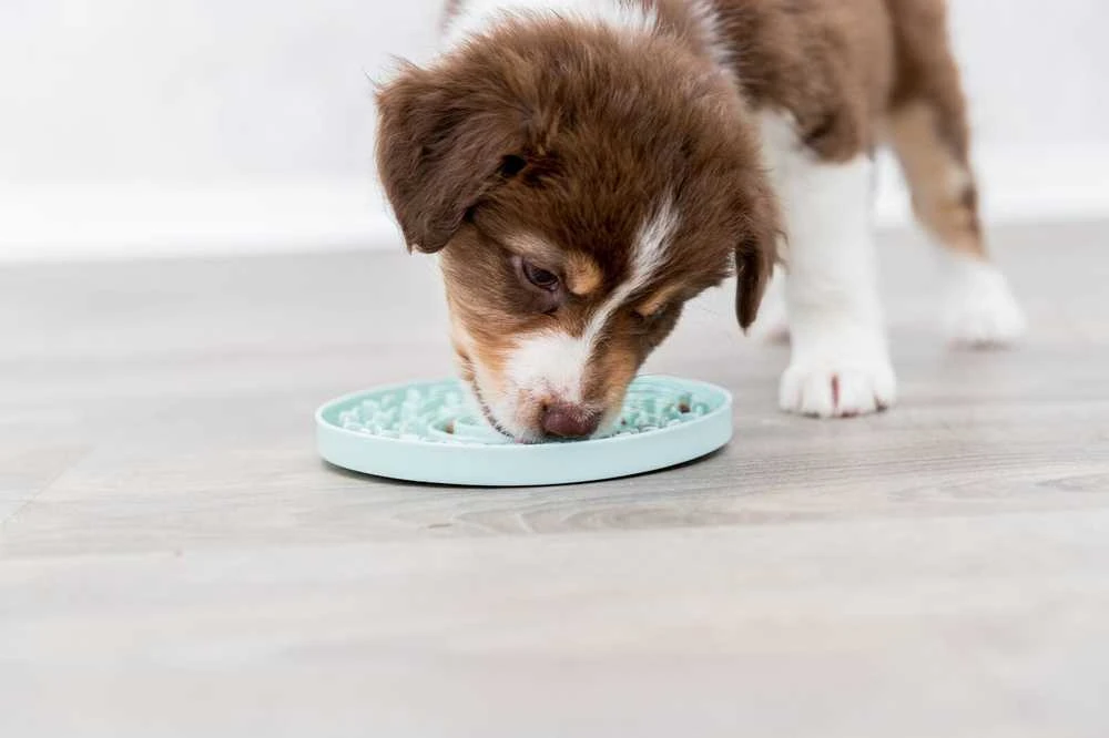 Trixie Junior Licking Lėkštė šunims 21 cm