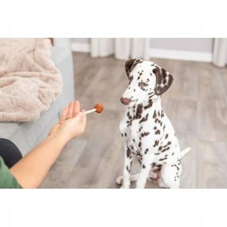 Trixie PREMIO saldainiai šunims su menke, palaidi, 9 cm/15 g, 60 vnt./pak.