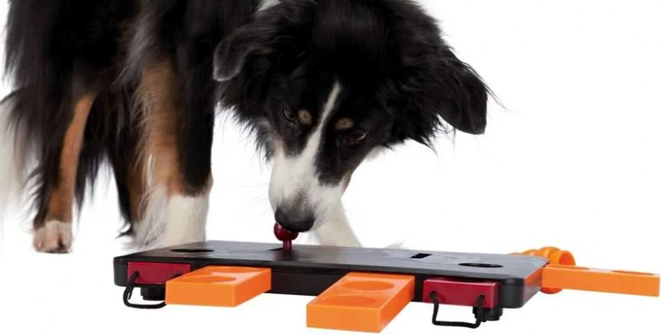 TRIXIE Strateginis žaidimas šunims Move2Win, 34x13x6cm, 32025