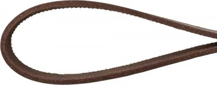 Trixie Rustic pavadėlis šuniui, tamsiai ruda, XS – S: 1,20 m / 12 mm, stora oda