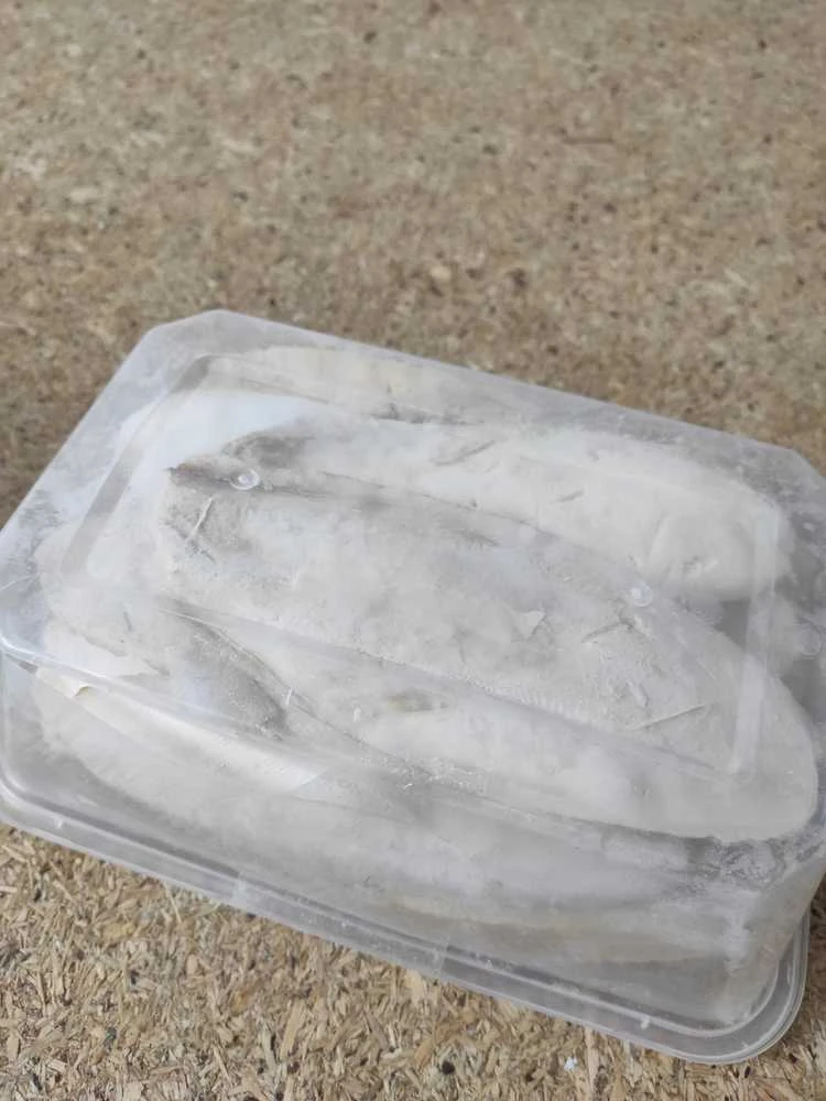 Sepijos paukščiams: Trixie sepijos spalvos kalcio akmuo, birus, 11 cm, 40 g (50 vnt.)