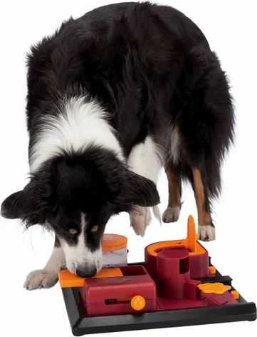 Trixie Žaislas šuniui Dog Activity ''Poker Box 2'' 31 × 10 × 31 cm