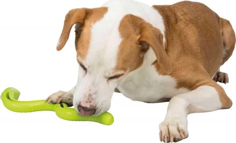 TRIXIE Snack-Snake, TPR, 42 cm