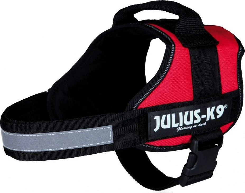 Trixie Petnešos Julius-K9, 0/M–L: 58–76 cm, raudonos sp.