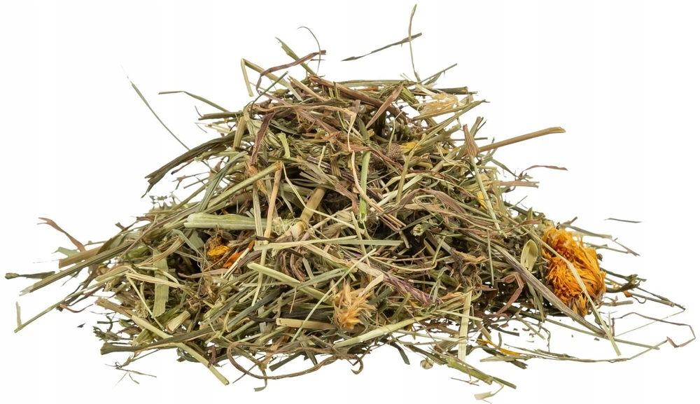 Trixie žolelių ir pievų žolelės, papildomas pašaras vėžliams, 200 g