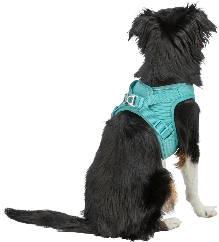 Trixie UrbanVest šunų drabužis XS: 38–41 cm/15 mm aqua
