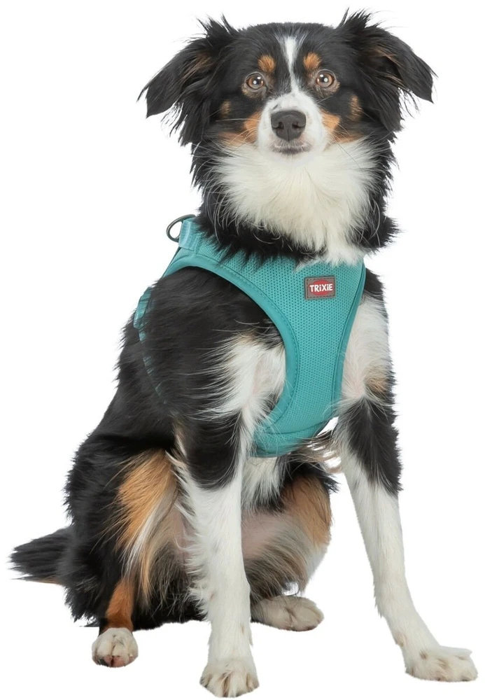 Trixie UrbanVest šunų drabužis XS: 38–41 cm/15 mm aqua