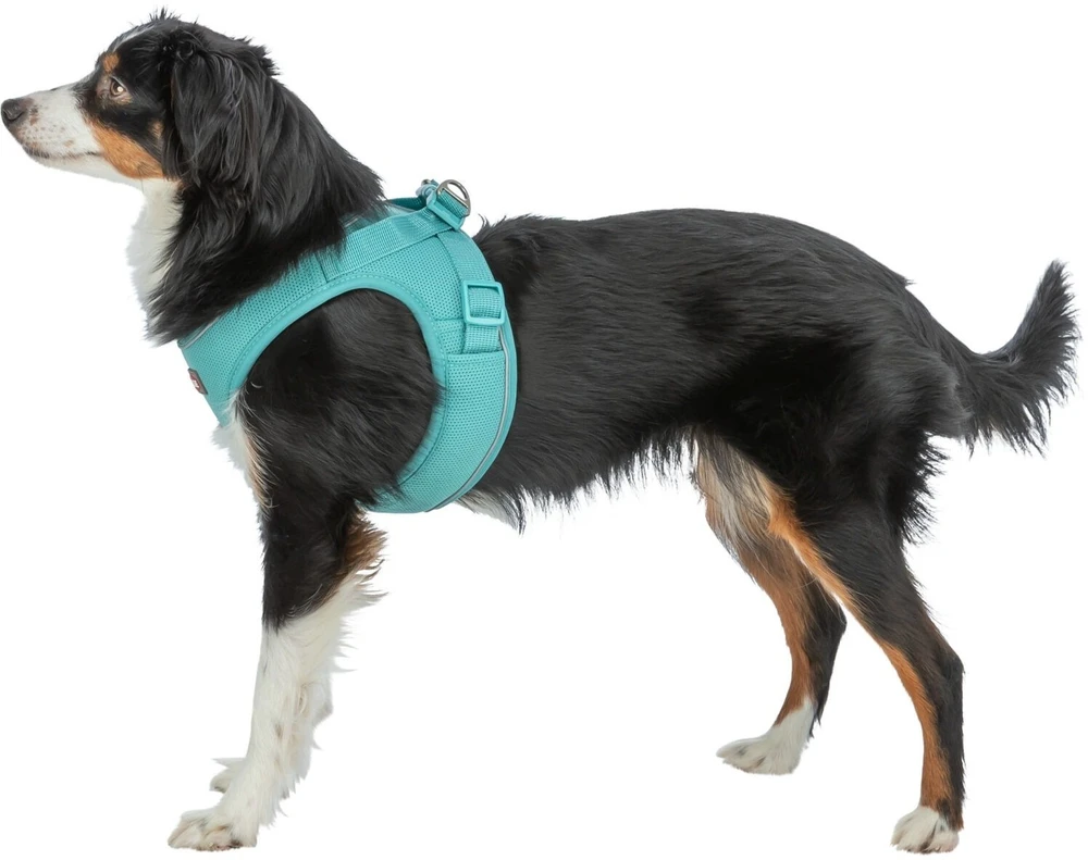 Trixie UrbanVest šunų drabužis XS: 38–41 cm/15 mm aqua
