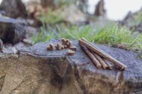 Trixie Insect Sticks kabanosy su insectów šuniui 80 g