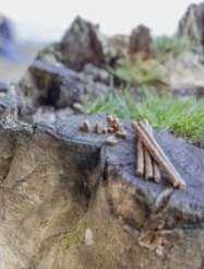 Trixie Insect Sticks kabanosy su insectów šuniui 80 g