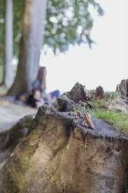 Trixie Insect Sticks kabanosy su insectów šuniui 80 g