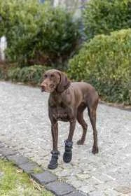Trixie Walker Active Long, Batai, Šuniui, M, Juoda, 2 vnt./pak