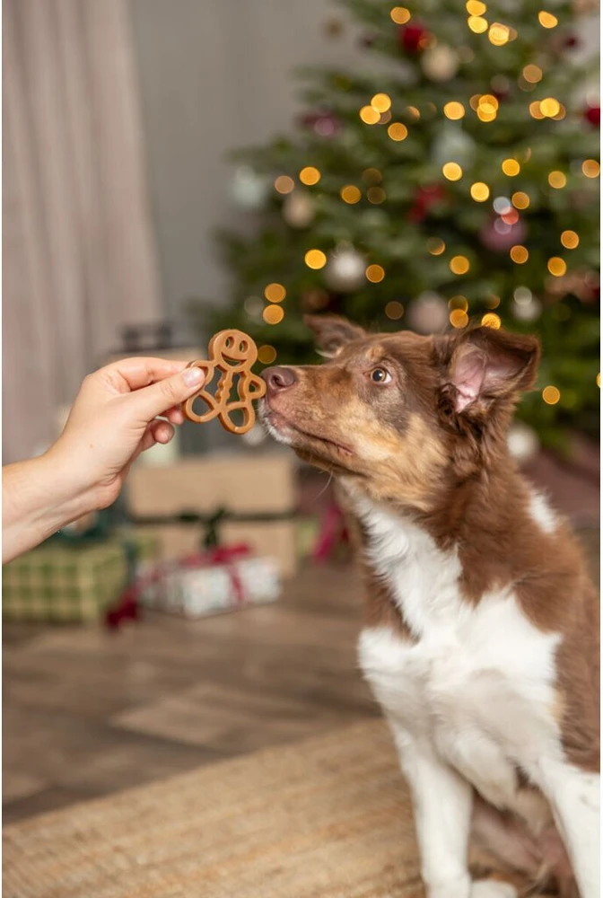 TRIXIE Xmas Imbierinukas su vištienos krūtinėle, 31 g (pak.90)
