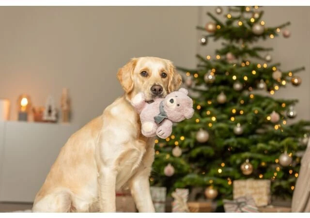 Trixie Xmas Meškiukas, žaislas, šuniui, pliušinis, 19 cm