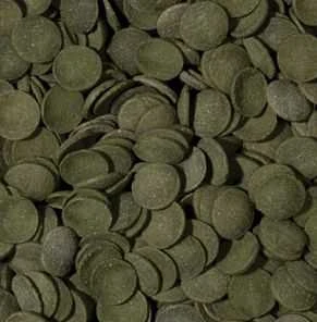 Tropical Tropiniai Žalias dumblių vafliai 5L/2,25kg