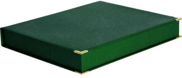 Tryumf Dėklas poziome na deskę žalia 305x230 (BTY1912/GN)