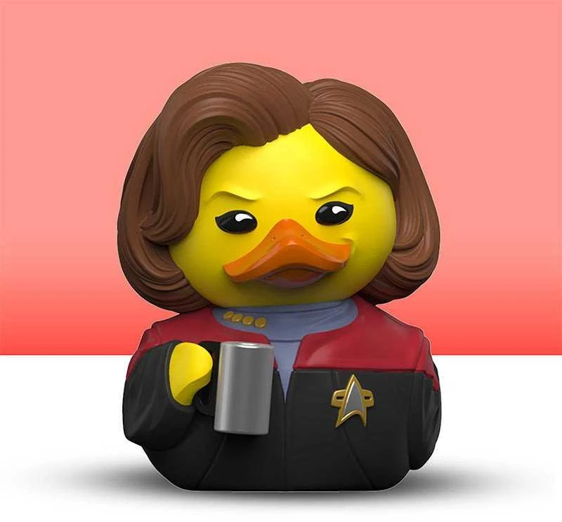Numskull - „Žvaigždžių kelio Tubbz MINI Janeway“