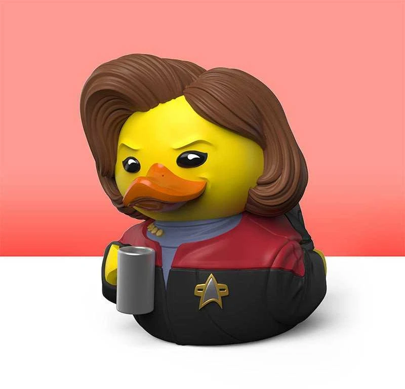 Numskull - „Žvaigždžių kelio Tubbz MINI Janeway“